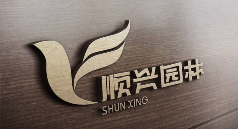 略阳县VI设计公司：城市视觉形象的专业筑梦者
